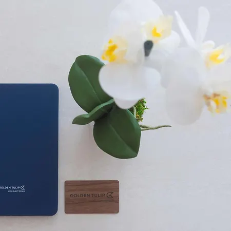 Golden Tulip Lyon Ouest Techlid Hotel & Spa-2
